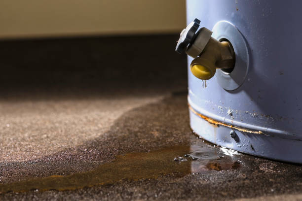 Water damage restoration insurance claims in Green Hill, TN