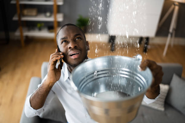 Best Water damage restoration near me  in Green Hill, TN