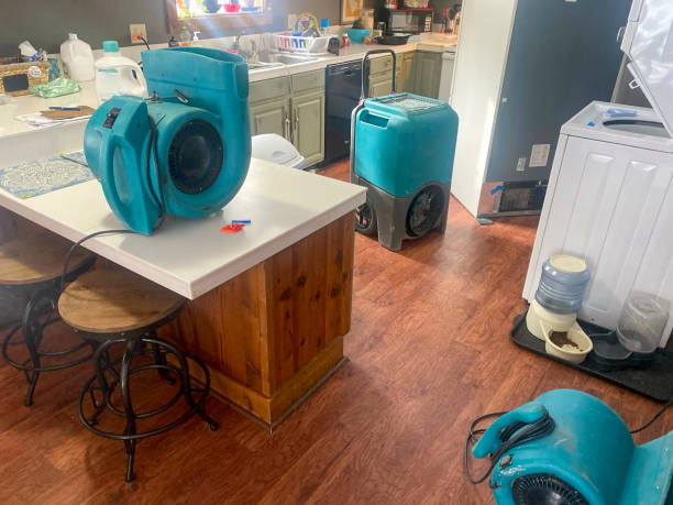 Best 24/7 water damage repair  in Green Hill, TN