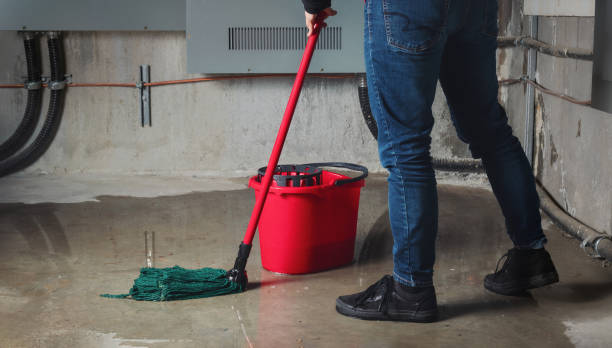 Best Water damage restoration insurance claims  in Green Hill, TN