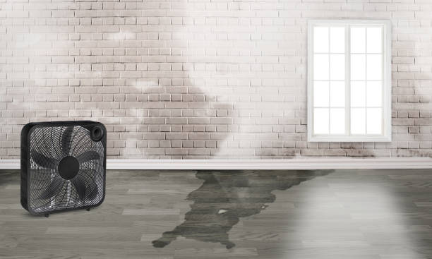 Reliable Green Hill, TN Water damage restoration Solutions