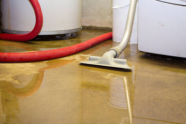 Best Water damage contractors near me  in Green Hill, TN