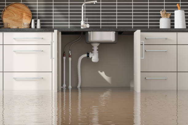 Best Flooded house restoration  in Green Hill, TN