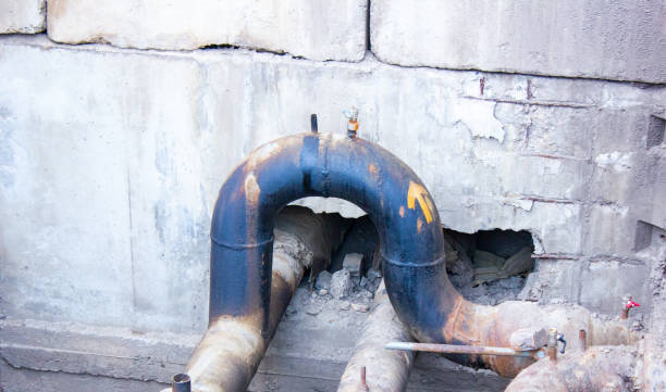 Best Mold removal after water damage  in Green Hill, TN