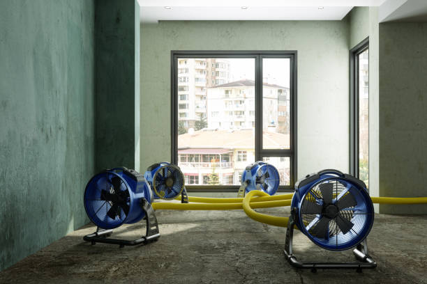 Best Ceiling water damage repair  in Green Hill, TN