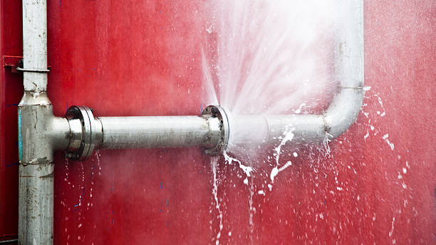 Best Water damage cleanup near me  in Green Hill, TN