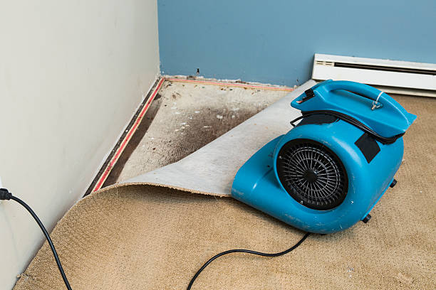 Best Water damage restoration insurance claims  in Green Hill, TN