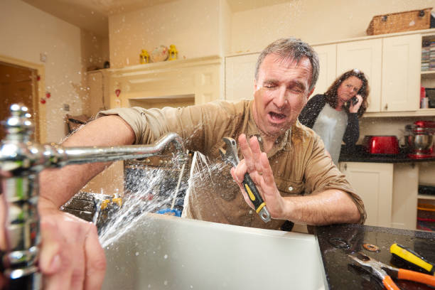 Best Fire Damage Restoration  in Green Hill, TN
